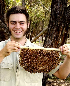 portrait de tim, spécialiste de l'apiculture sauvage en Australie
