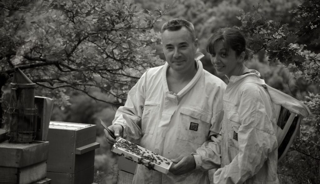 Apiculteurs regardant un cadre d'abeille et de miel - Environnement de montagne
