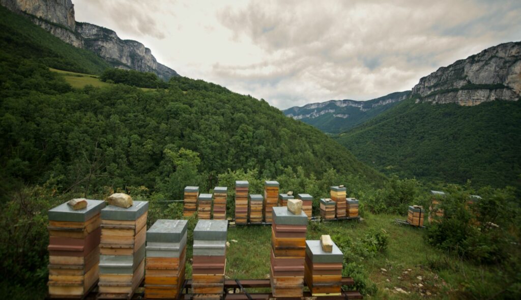 vercors-rucher